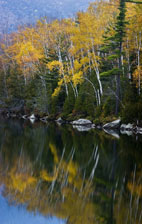 adirondack area rugs photo